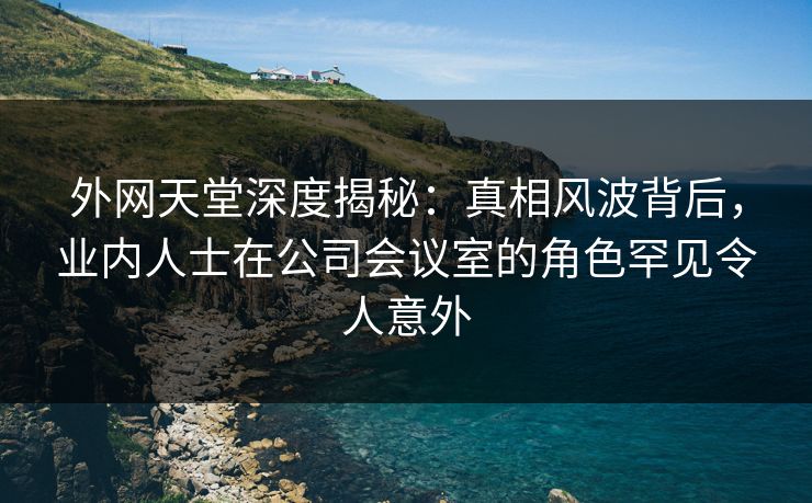 外网天堂深度揭秘：真相风波背后，业内人士在公司会议室的角色罕见令人意外