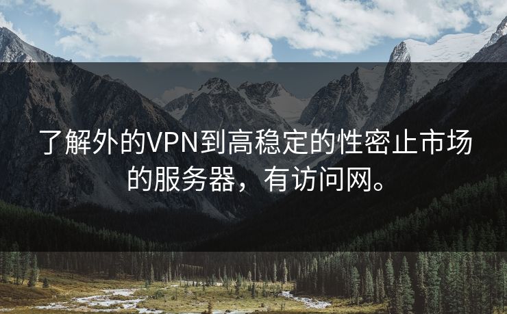 了解外的VPN到高稳定的性密止市场的服务器，有访问网。